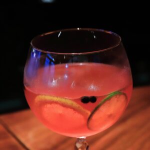 Berries Gin & Tonic